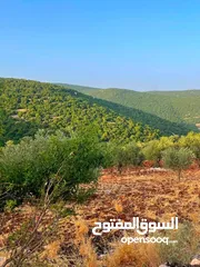  6 قطعة أرض للبيع في احراش راسون عجلون