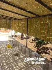  26 قصيب أخضر واصفر لتزيين الحدائق والمنتزهات والجلسات الخارجيه والاطلالات والمشاتل