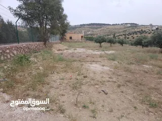  11 أرض ذات إطلالة خلابة في أجمل مناطق جرش