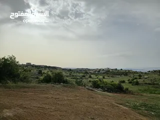  11 غرب سوف سهلات الغربيه قرب قصر السفير الاماراتي منطقه فلل و مزارع راقيه