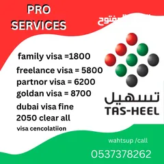  1 Dubai Visa Service