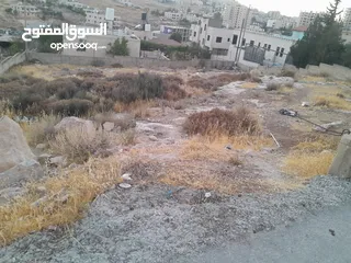  1 ارض للبيع بسعر رائع