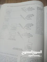  2 كتاب بعنوان biology