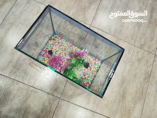  6 حوض سمك مجهز عبي مي و حط سمكاتك ، الطول 32 سم ارتفاع 23 سم عمق 21 سم
