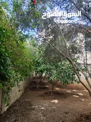  8 بيت منفصل مع حديقة للبيع بسبب السفر طولكرم شارع كتابا قرب حلويات البدر وجامع القيسي