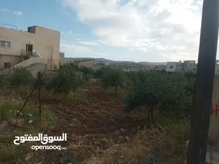  3 قطعة ارض للبيع