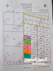  1 قطع أراض في البادية الشمالية المفرق-في منشية الخليفه-  10 دنم مفروز في قوشان
