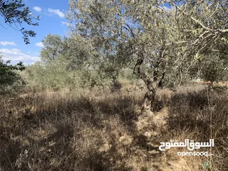  2 ارض لبيع على شارع