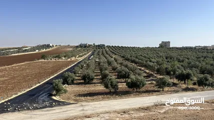  1 ارض للبيع في حسبان قريبة من شارع المطار ومرج الحمام على شارع مأدبا الغربي قريبة من الجامعة الألمانية