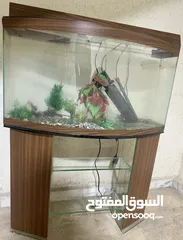  1 حوض سمك كامل  بحالة ممتازة