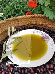  6 زيت زيتون بعل