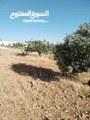  4 3400م للبيع واصل خدمات منطقه رحاب بني حسن بالقرب من طريق اربد الزرقاء الرئيسي من المالك مباشره