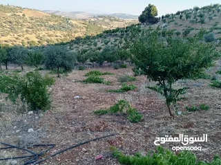  6 أرض للبيع في عنجره منطقة شمسين