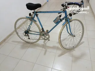  1 دراجة هوائية الماني +عود مصري