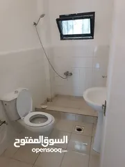  8 شقة للايجار اربد الحي الشرقي