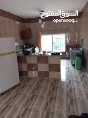  11 مزرعه للبيع