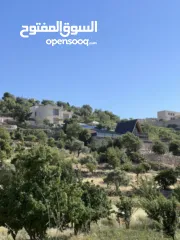  1 ارض للبيع في الأردن - عجلون