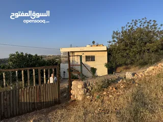  4 مزرعه للبيع / عجلون / رأس منيف