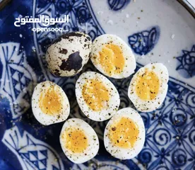  3 بيض فري طازج الطبق دينار ونص