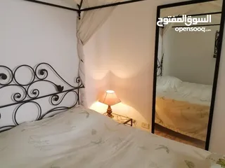  15 شقة مفروشة للايجار في تونس