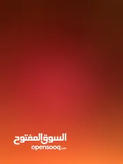  3 اوبل كاديت 83