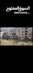  5 ارض  10112 م2. كوشان طابو  نصلح لبنانيه سكنيه تجاريه  على شارعين  بالجبل الشمالي بسعر مغري
