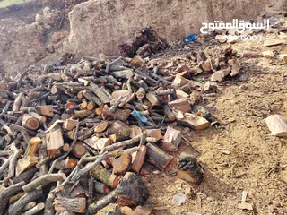  10 حطب زيتون زند وقرمي ناشف حطب لوزيات ناشف