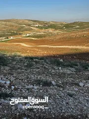  9 للبيع قطع مفروزة طريق الزرقاء اربد منطقة بلعما واصل خدمات