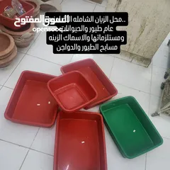  5 طيور والدواجن بياض ..