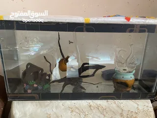  4 حواض سمك للبيع