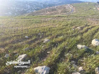  1 ارض الكمشة - استثمارية عالية و مطلة ( راس جبل)  قريب شارع الاردن 4 دونم إطلالة بانورامية مطلة