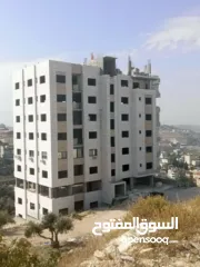  1 شقق عظم بيت وزن ارضي وسادس