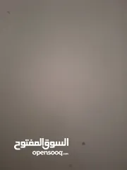  2 ابو محمد كارم