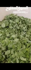  3 مطبخ بيت المونه الشهية