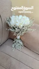  5 تاجير شناتي عرايس في الزرقاء وعمان