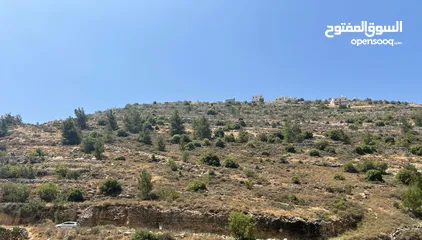  1 ارض للبيع في منطقة حسكا تصنيف الف كوشان طابو البيع على الكاش