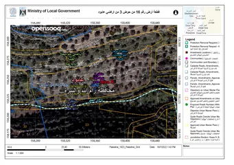  4 قطعة ارض مزروعة زيتون ممتازة للاستثمار منطقة ب