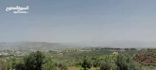  1 ارض لقطه  4 دونمات للبيع تبعد عن فندق غصن الزيتون 1 كم