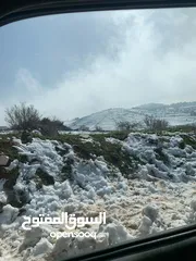  20 أرض ممتازة في جرش للسكن و للزراعة بقرب أحراش الدولة و سعر مغري  للمزيد من المعلومات اقرأ الوصف