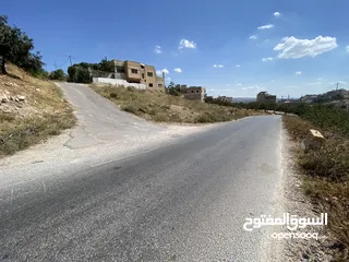  4 ارض سكنيه بيت راس للبيع 737متر من المالك مباشره