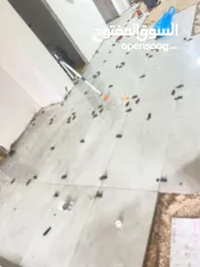  6 بلاط + فير بليس خارجي