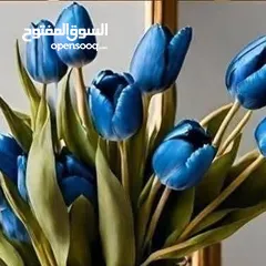 1 مطلوب ممول لتمويل استيراد علامه تجارية من الصين بضاعه معروفه بالسوق