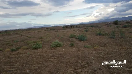  7 ارضي للبيع في جدر في العميري