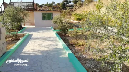  31 مزرعه للبيع