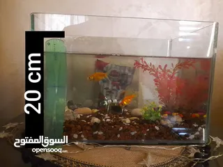  6 حوض سمك بسعر حرق اقرأ الوصف+عرض لفترة محدودة  بسعر حرق منافس للأخرين اقرأ الوصف