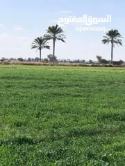  1 ارض زراعيه للبيع بابو المطامير بحيره