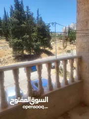  7 شقه مشطبه للبيع دون وسطاء 130 الف 3 غرف نوم في المصيون