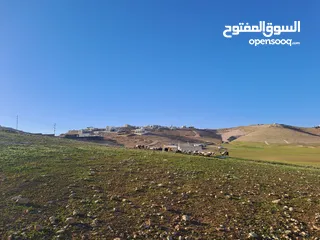  7 المغيرات ارض 500م حوض مريزقه تبعد 3500م عن شارع الحزام بسعر مغري