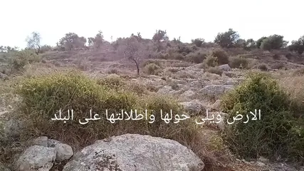  7 ارض للبيع في عنبتا واصلها خدمات ..كوشان نظيف  .. الجبل الجنوبي ...بدل ...كاش..نص نص تصنيف (أ)