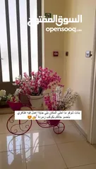  5 صالون اضافر و رموش
